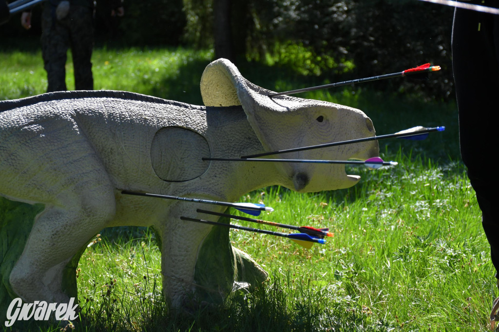 Sportowe święto w Brynku. Cele łucznicze 3D
