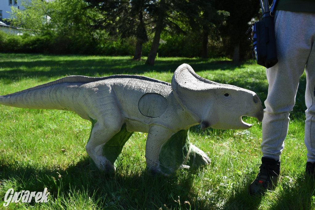 Sportowe święto w Brynku. Cele łucznicze 3D