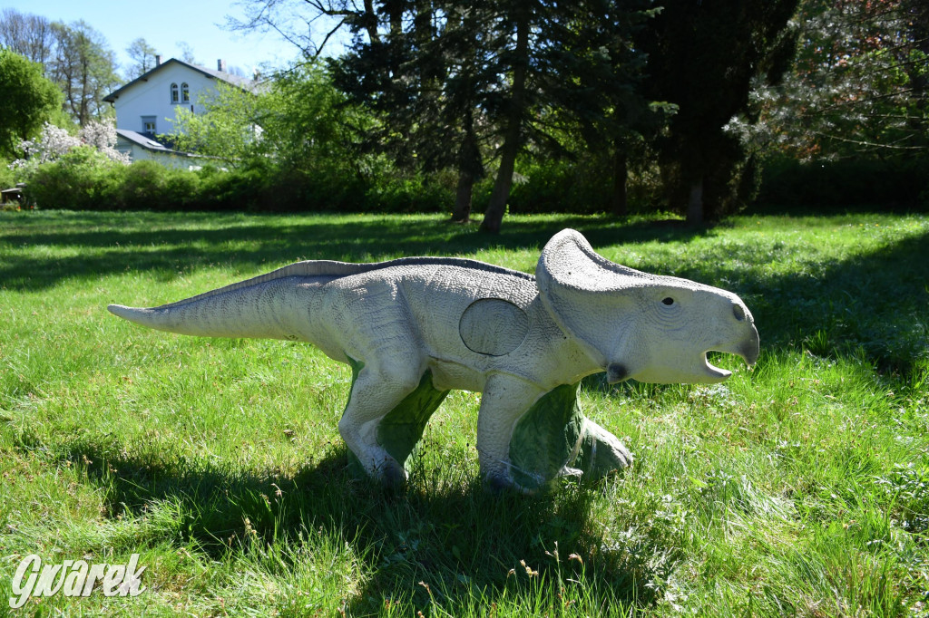 Sportowe święto w Brynku. Cele łucznicze 3D