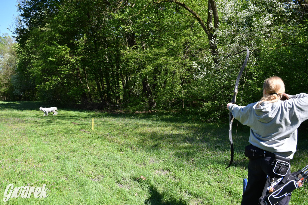 Sportowe święto w Brynku. Cele łucznicze 3D