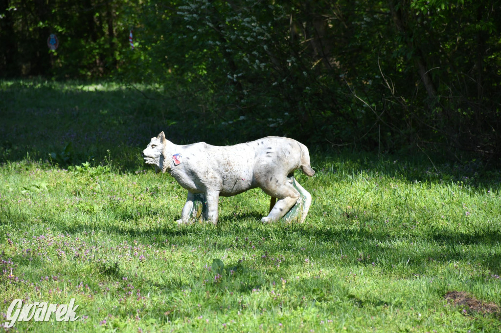 Sportowe święto w Brynku. Cele łucznicze 3D