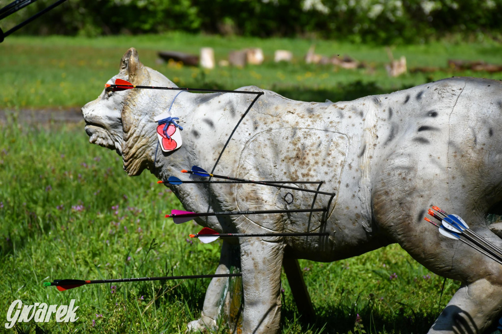 Sportowe święto w Brynku. Cele łucznicze 3D