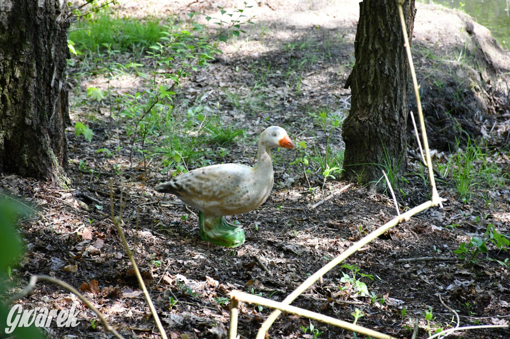 Sportowe święto w Brynku. Cele łucznicze 3D