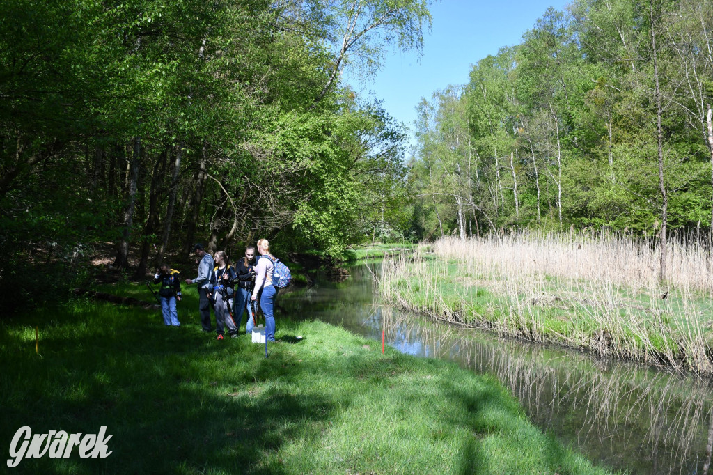 Sportowe święto w Brynku. Cele łucznicze 3D