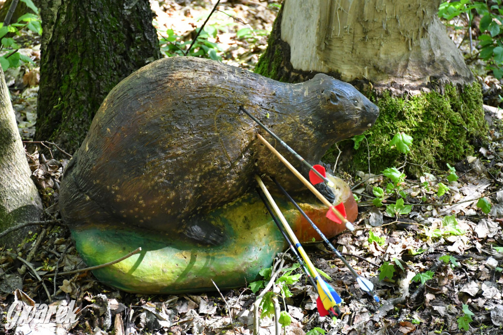 Sportowe święto w Brynku. Cele łucznicze 3D