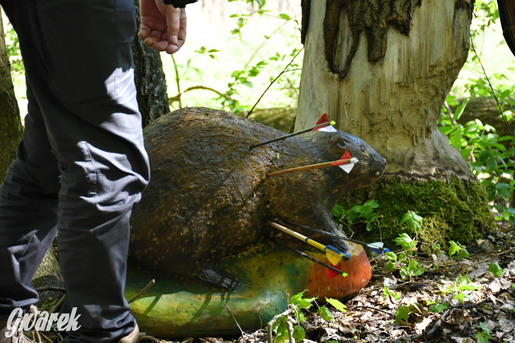 Sportowe święto w Brynku. Cele łucznicze 3D