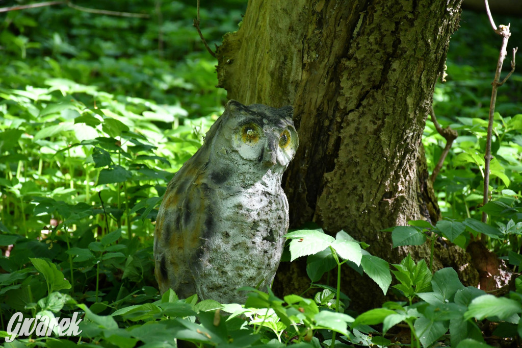 Sportowe święto w Brynku. Cele łucznicze 3D