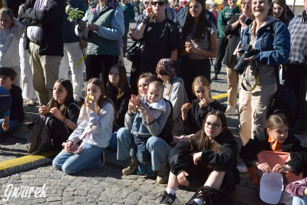 Wybory Pięknej z Rept 2025. Kto wygrał konkurs?