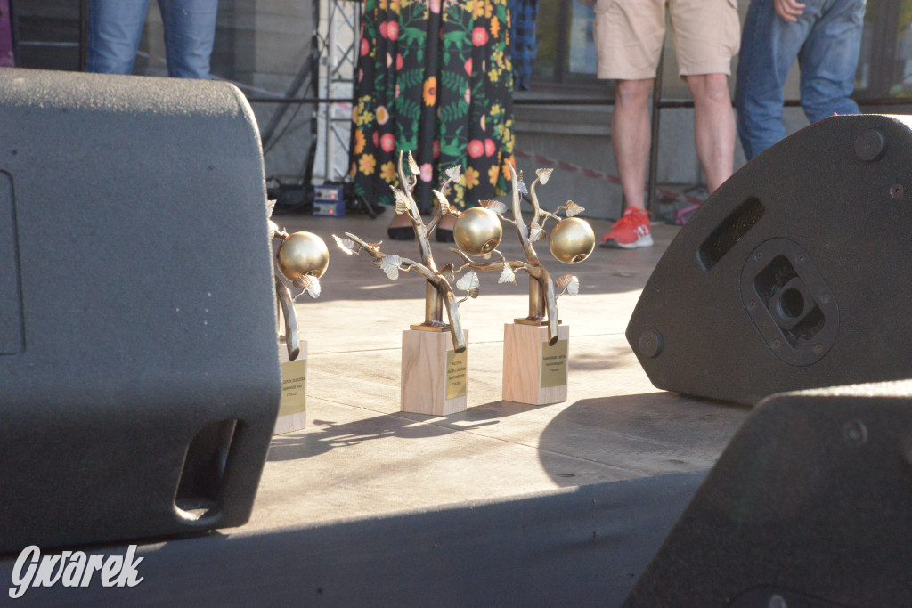 Wybory Pięknej z Rept 2025. Kto wygrał konkurs?