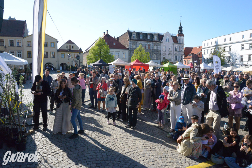 Wybory Pięknej z Rept 2025. Kto wygrał konkurs?