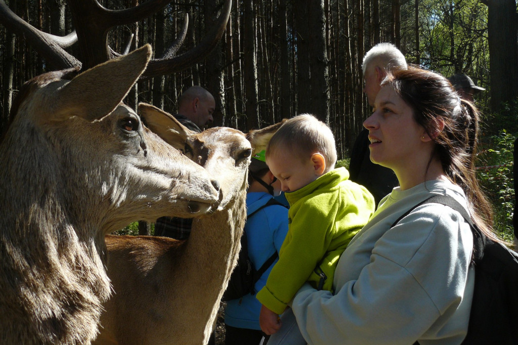 Rajzowanie po stanicach, czyli przednia zabawa