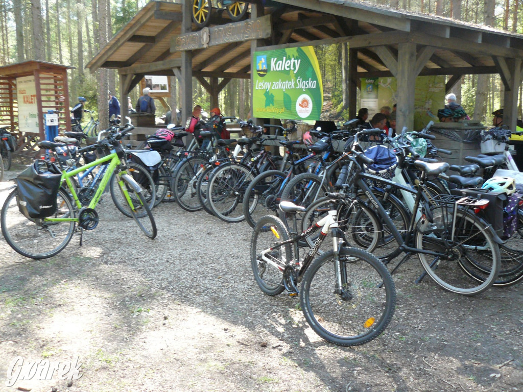 Rajzowanie po stanicach, czyli przednia zabawa