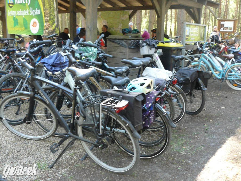 Rajzowanie po stanicach, czyli przednia zabawa