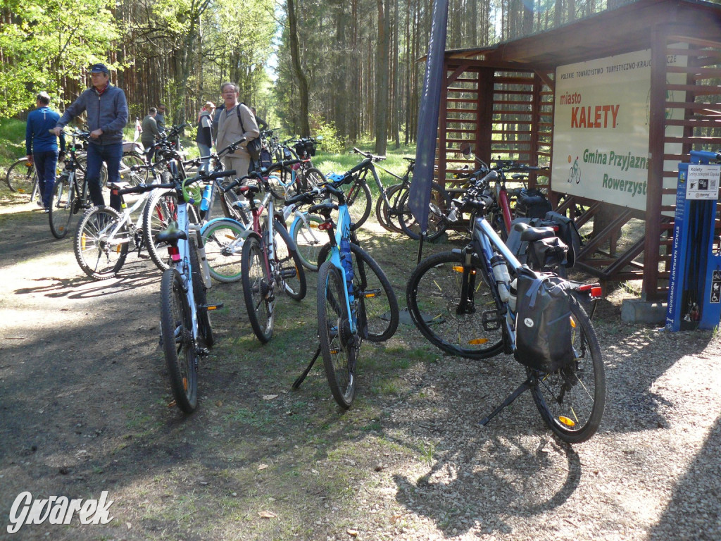 Rajzowanie po stanicach, czyli przednia zabawa