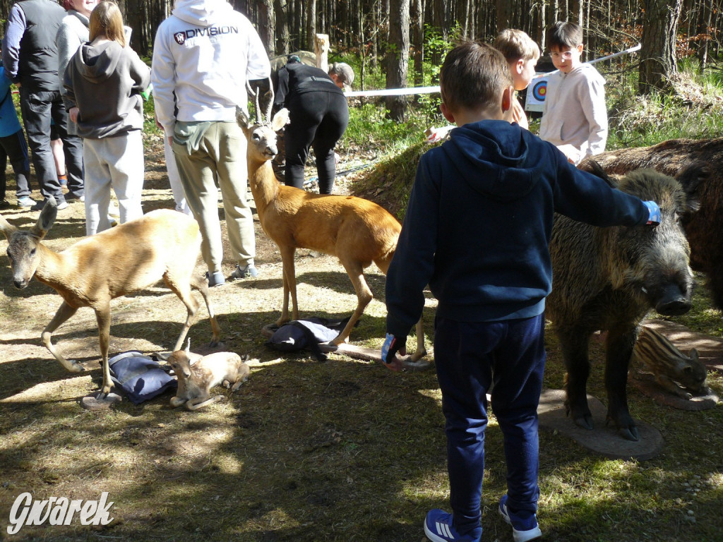 Rajzowanie po stanicach, czyli przednia zabawa