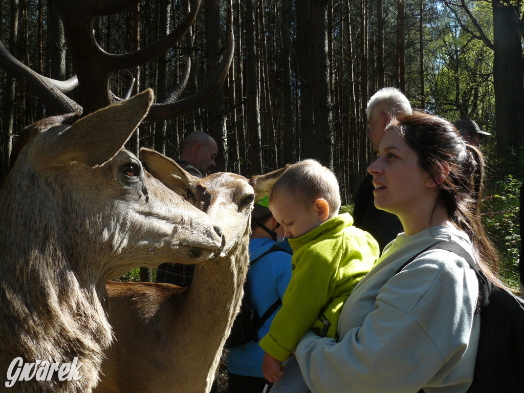 Rajzowanie po stanicach, czyli przednia zabawa