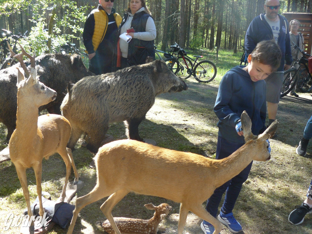 Rajzowanie po stanicach, czyli przednia zabawa