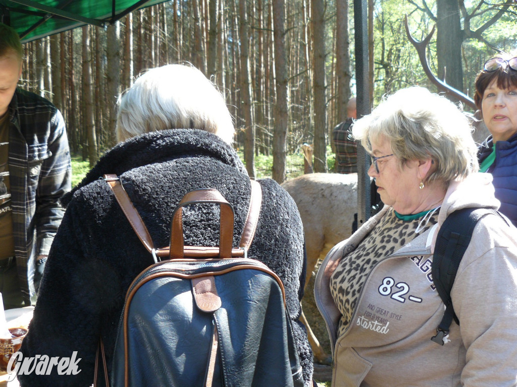 Rajzowanie po stanicach, czyli przednia zabawa