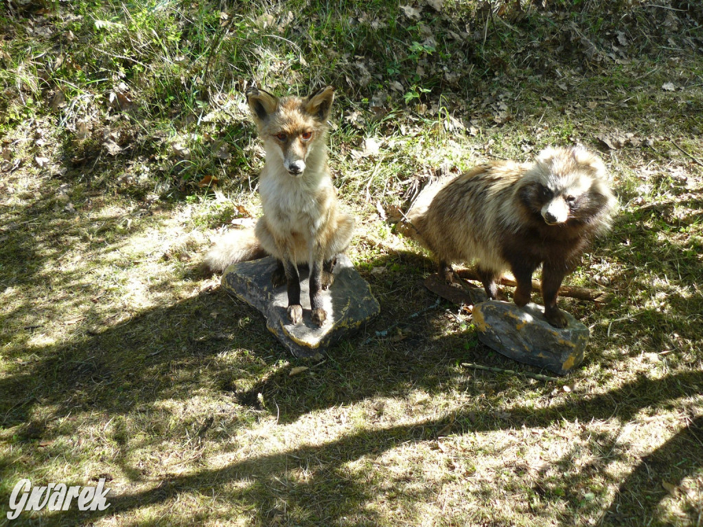 Rajzowanie po stanicach, czyli przednia zabawa