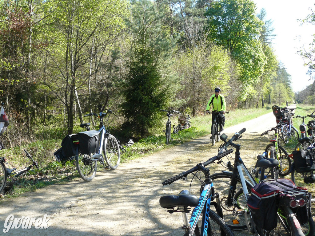 Rajzowanie po stanicach, czyli przednia zabawa