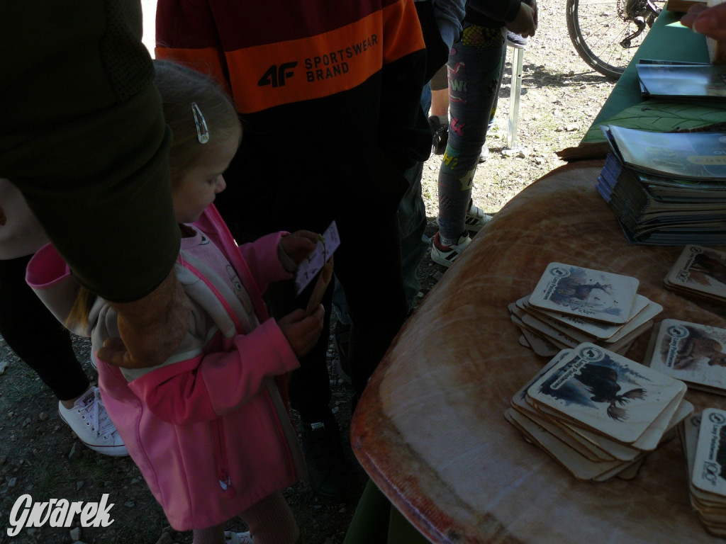 Rajzowanie po stanicach, czyli przednia zabawa