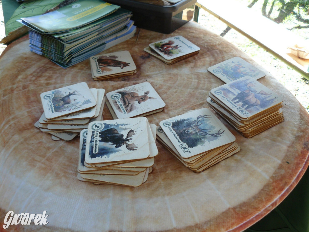 Rajzowanie po stanicach, czyli przednia zabawa