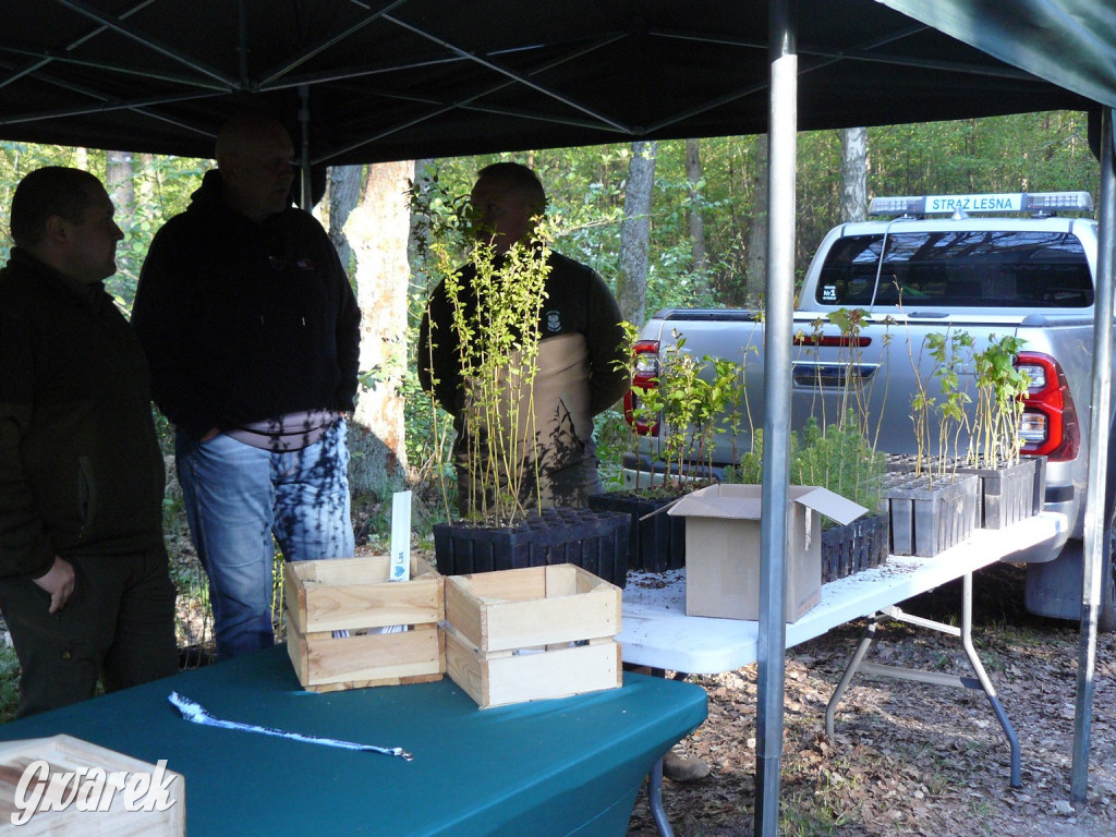 Rajzowanie po stanicach, czyli przednia zabawa