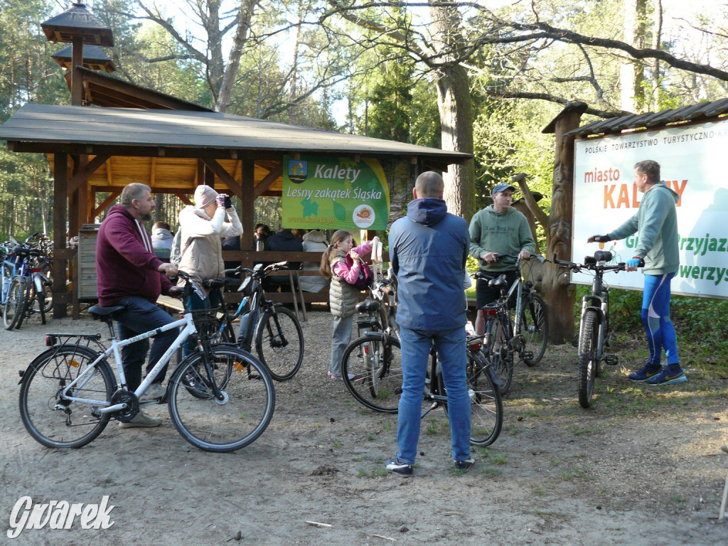 Rajzowanie po stanicach, czyli przednia zabawa