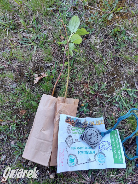 Rajzowanie po stanicach, czyli przednia zabawa