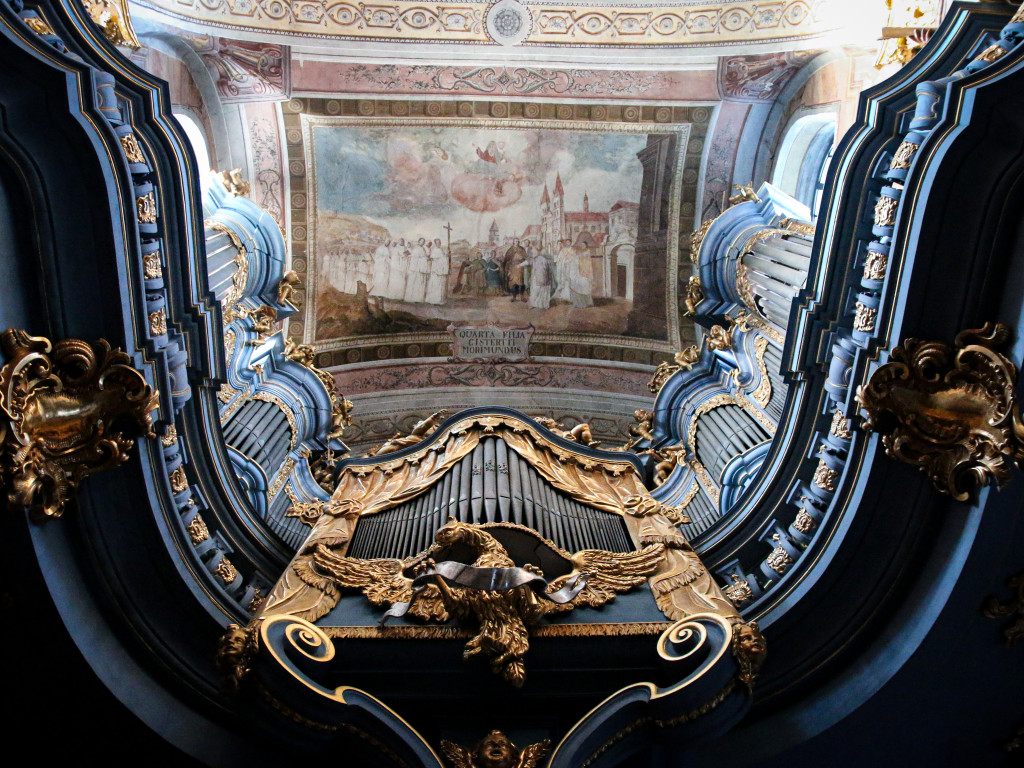 Miasteczko Śląskie. Światłoczuli w akcji