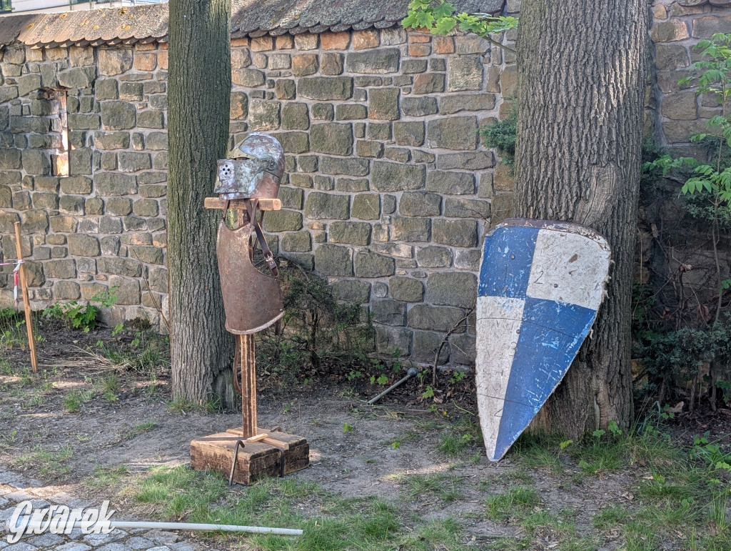 Mógł być hit. Rycerska Majówka w Starych Tarnowicach