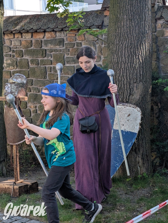 Mógł być hit. Rycerska Majówka w Starych Tarnowicach
