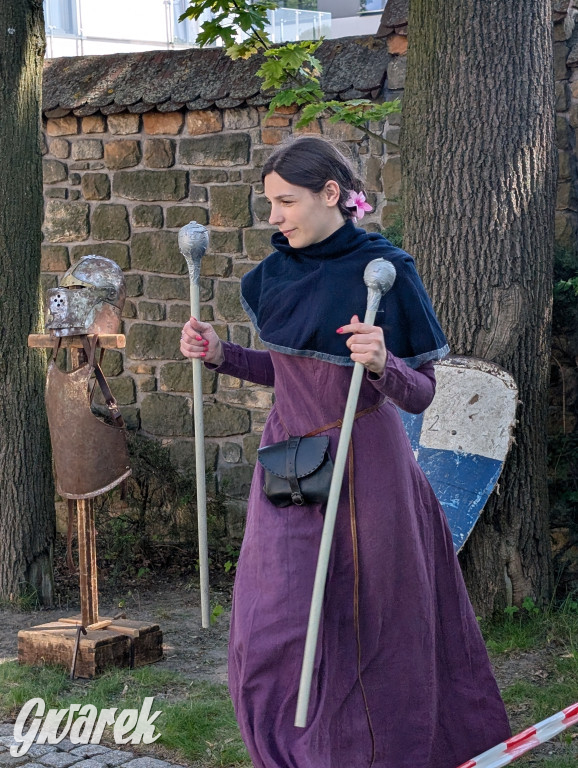 Mógł być hit. Rycerska Majówka w Starych Tarnowicach