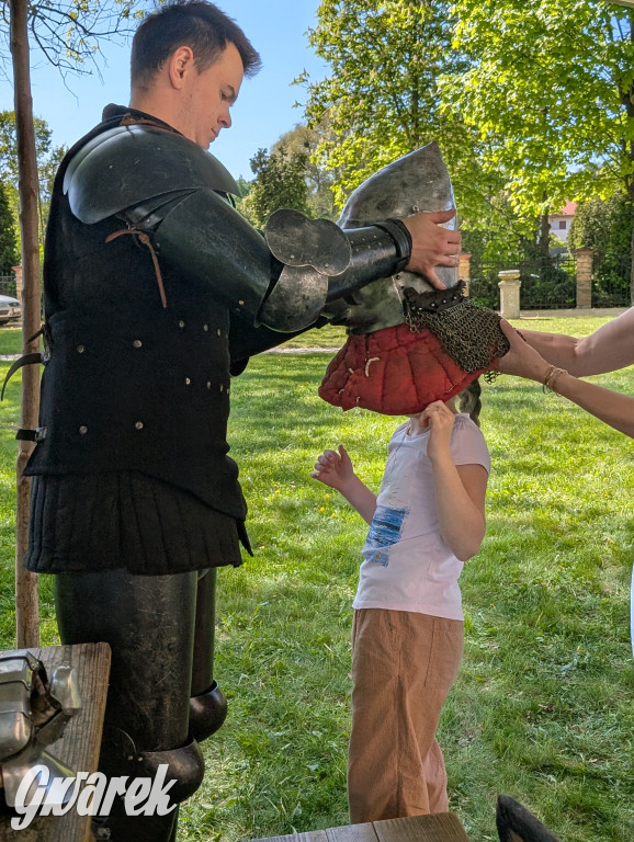 Mógł być hit. Rycerska Majówka w Starych Tarnowicach