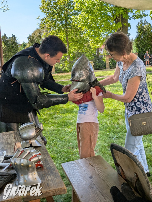 Mógł być hit. Rycerska Majówka w Starych Tarnowicach