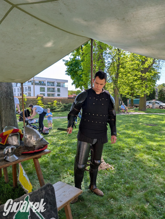 Mógł być hit. Rycerska Majówka w Starych Tarnowicach