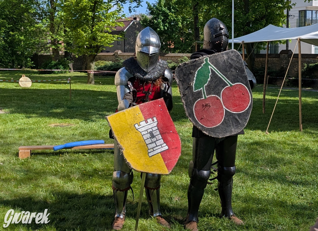 Mógł być hit. Rycerska Majówka w Starych Tarnowicach