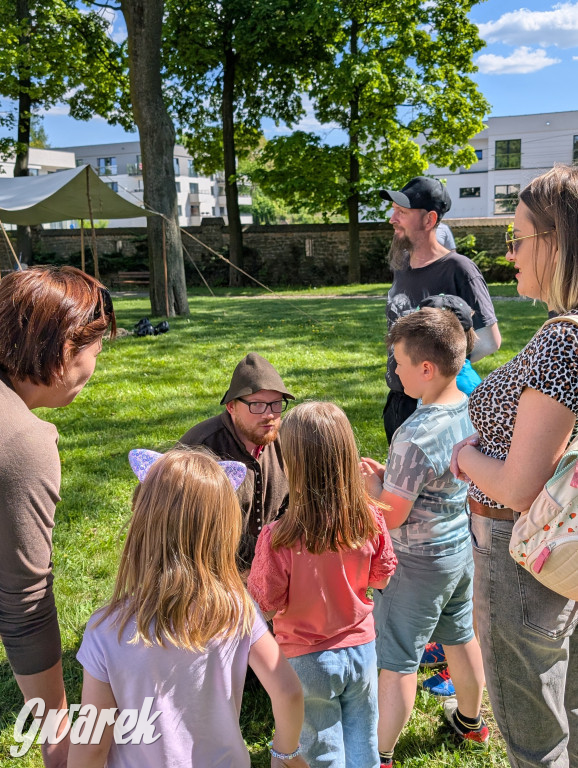 Mógł być hit. Rycerska Majówka w Starych Tarnowicach