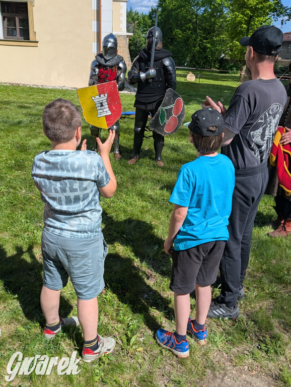 Mógł być hit. Rycerska Majówka w Starych Tarnowicach