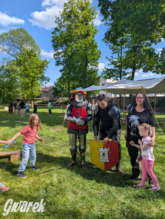 Mógł być hit. Rycerska Majówka w Starych Tarnowicach