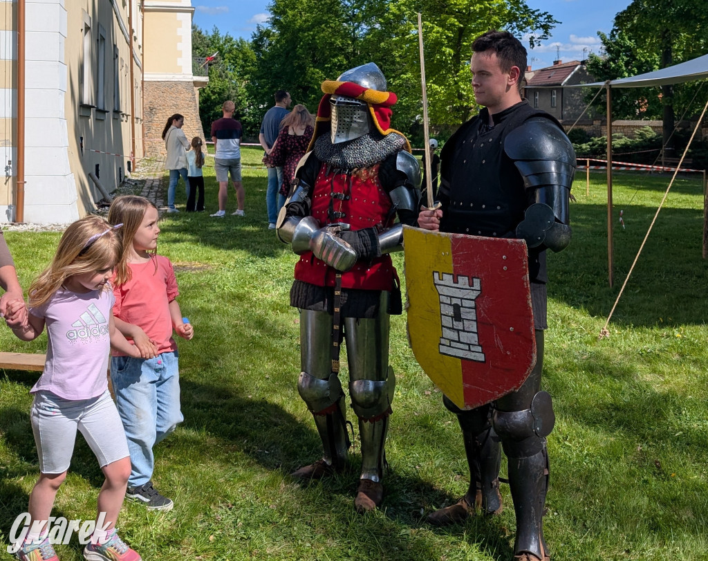 Mógł być hit. Rycerska Majówka w Starych Tarnowicach