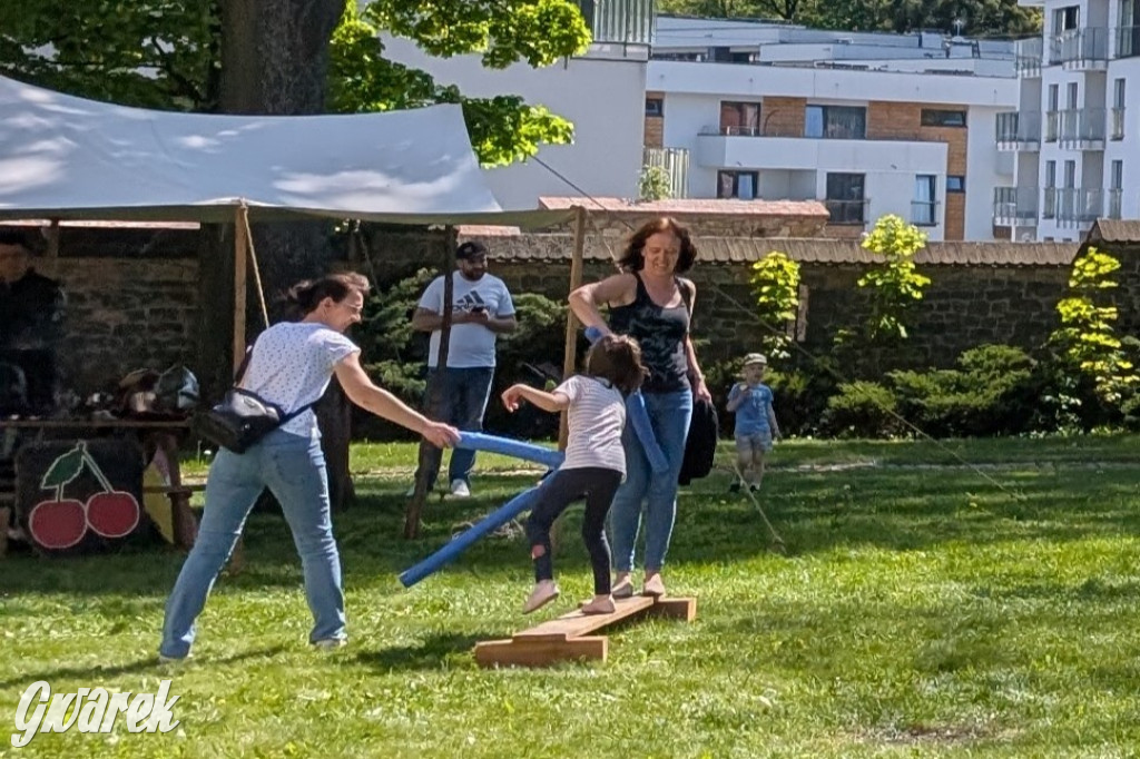 Mógł być hit. Rycerska Majówka w Starych Tarnowicach