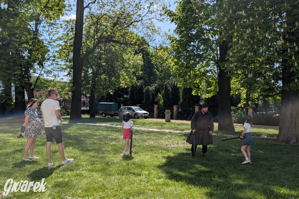 Mógł być hit. Rycerska Majówka w Starych Tarnowicach