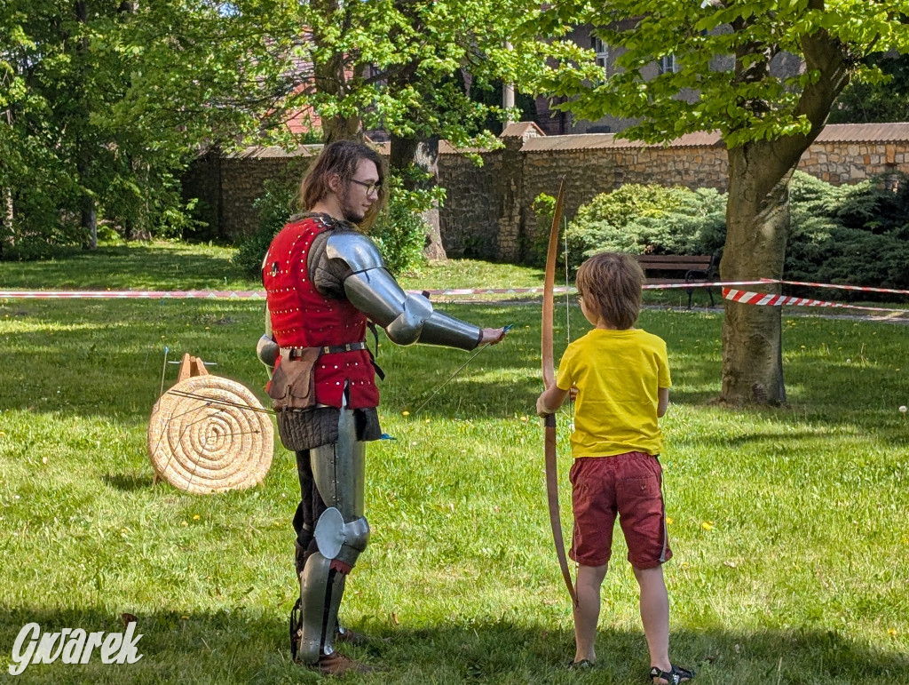 Mógł być hit. Rycerska Majówka w Starych Tarnowicach