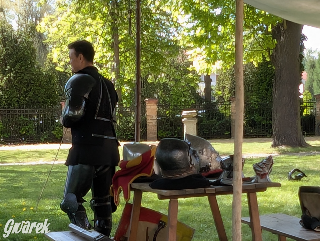 Mógł być hit. Rycerska Majówka w Starych Tarnowicach