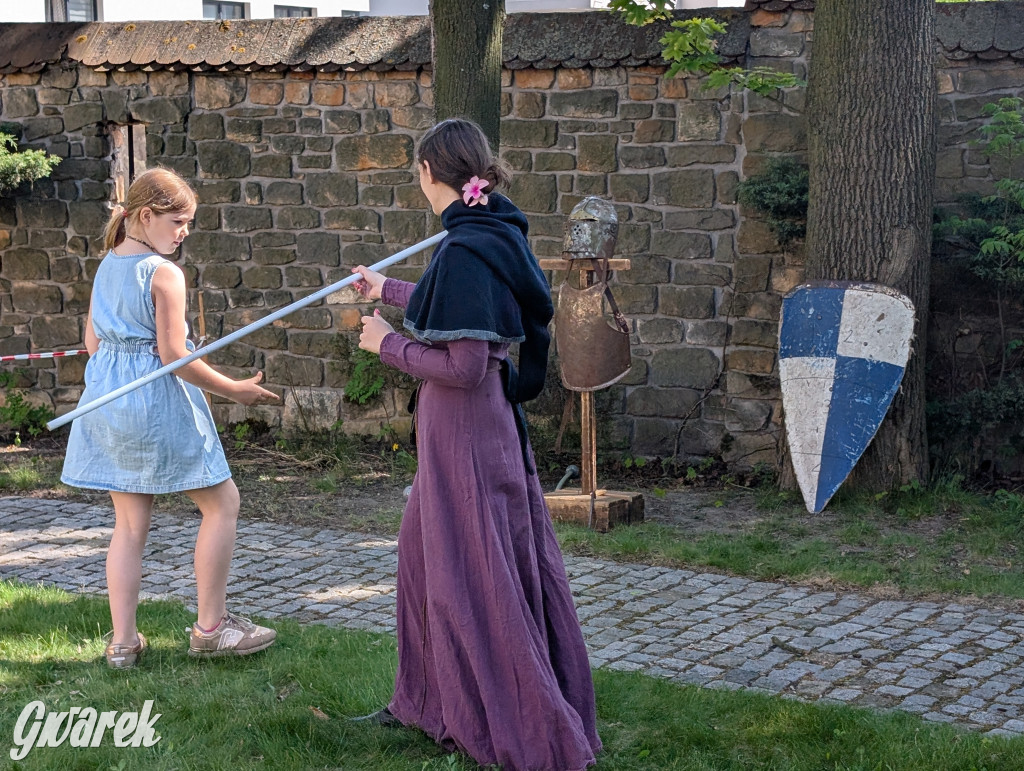 Mógł być hit. Rycerska Majówka w Starych Tarnowicach