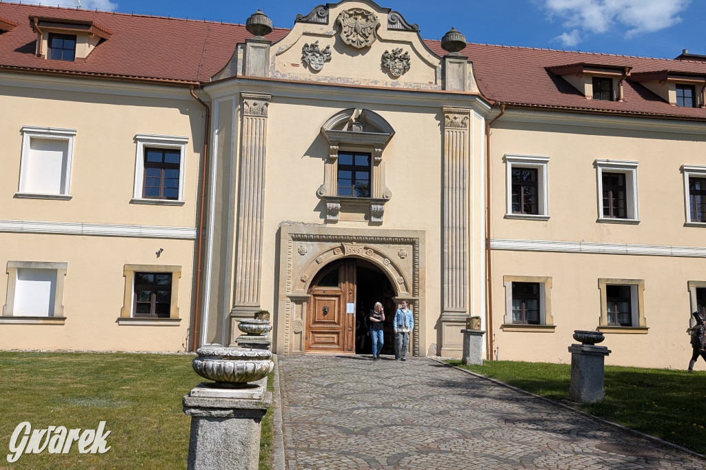 Mógł być hit. Rycerska Majówka w Starych Tarnowicach