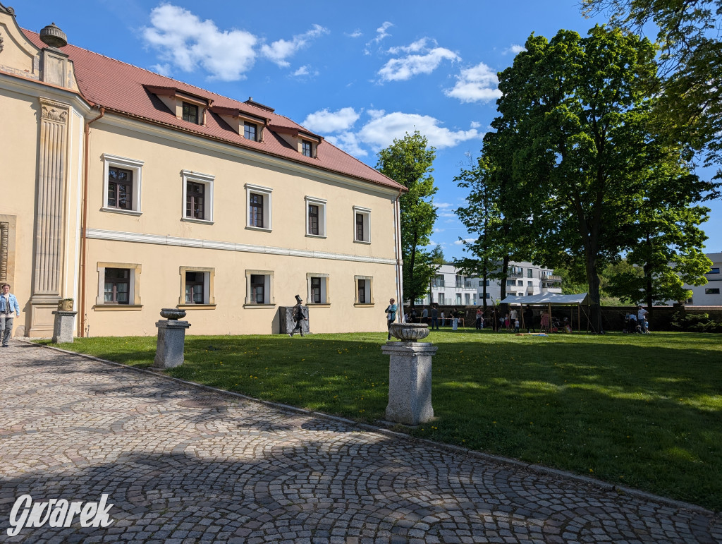 Mógł być hit. Rycerska Majówka w Starych Tarnowicach