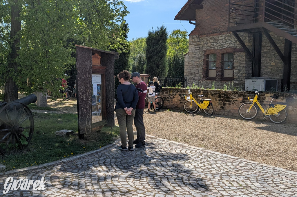 Mógł być hit. Rycerska Majówka w Starych Tarnowicach