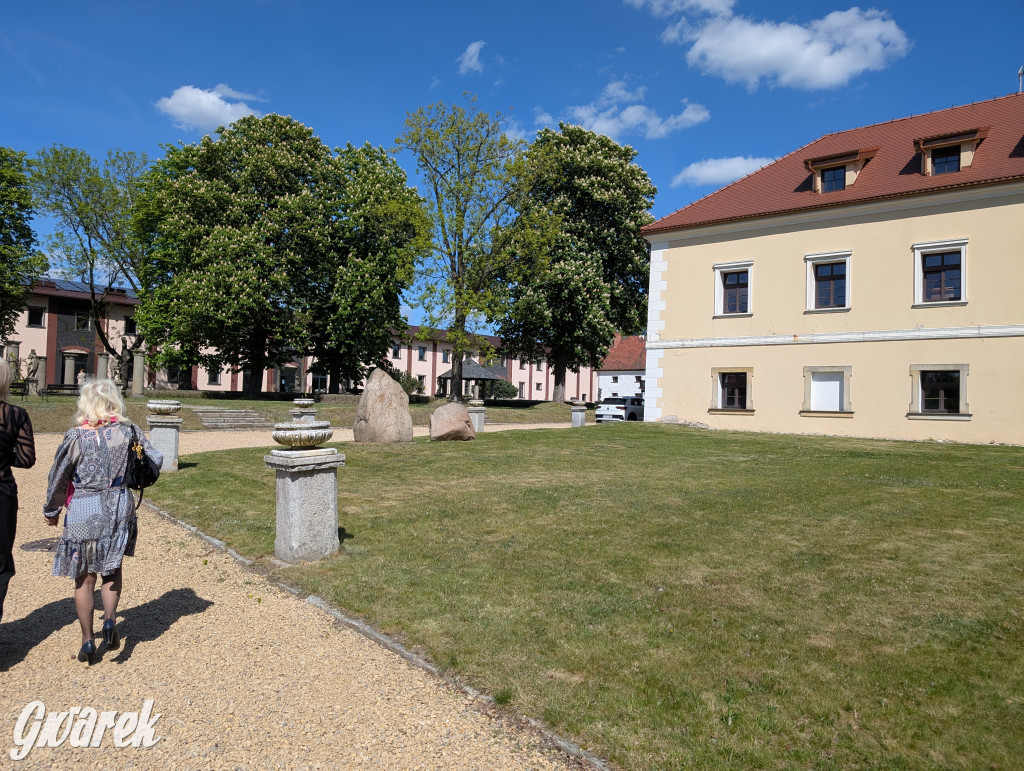 Mógł być hit. Rycerska Majówka w Starych Tarnowicach